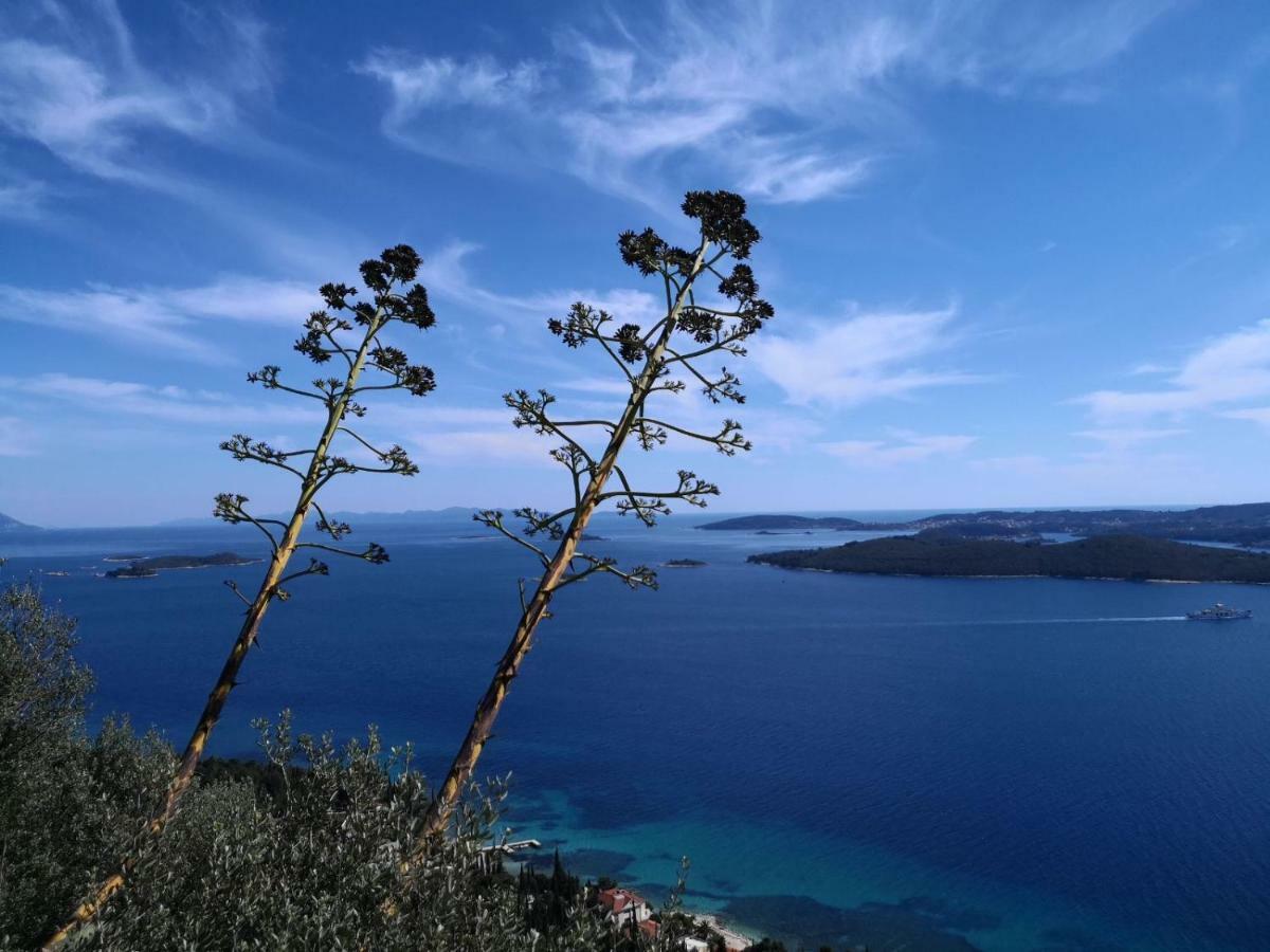 Sea And Pine Paradise Orebić Extérieur photo